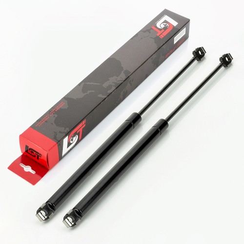 Gasdruckfeder lifter - 2x,
